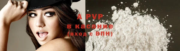 стафф Алексин