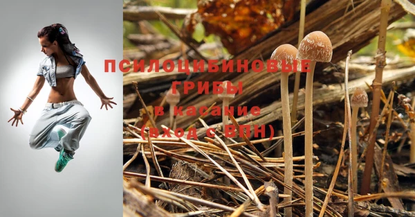 стафф Алексин