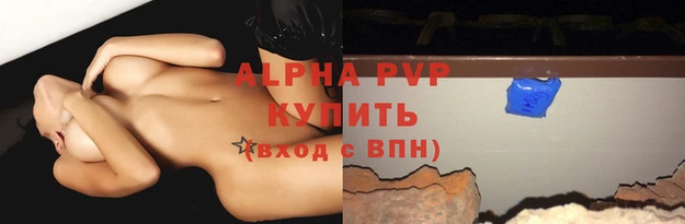 стафф Алексин