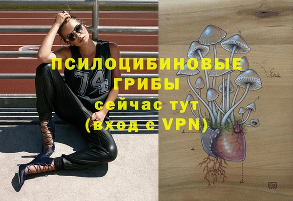 МДМА Алексеевка