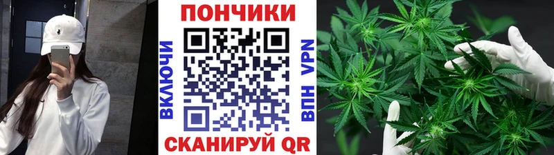 Конопля THC 21% где можно купить наркотик гидра зеркало Чехов